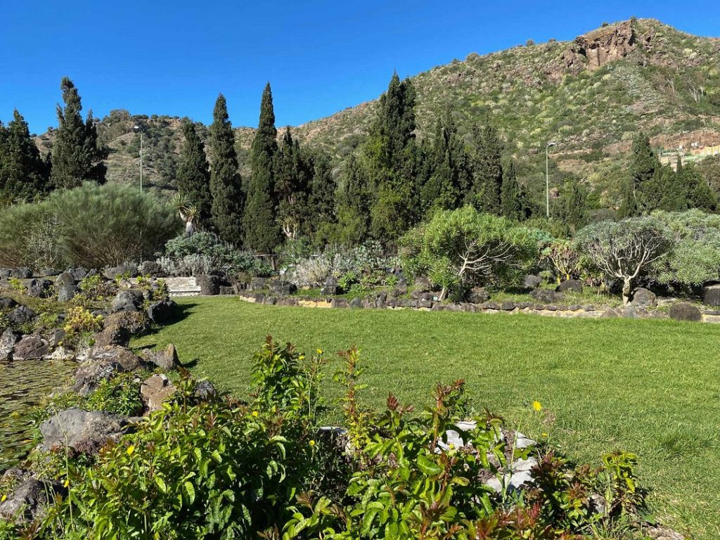 20.Jardin-Canarioweb