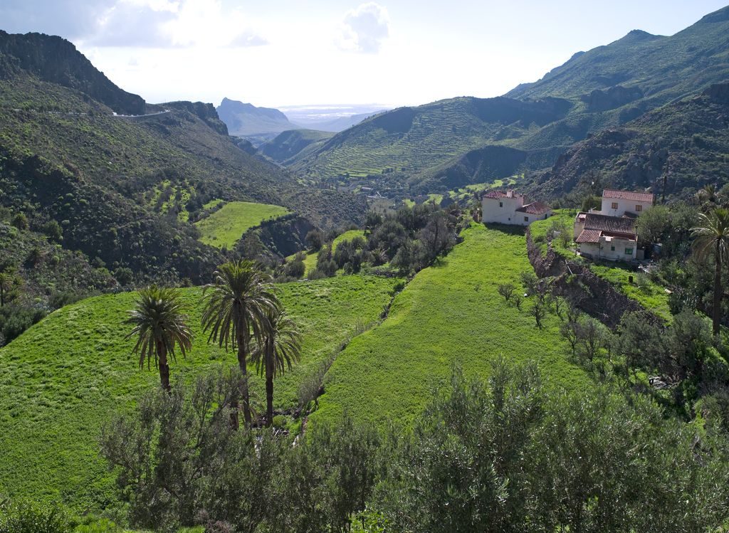aguimes (temisas)