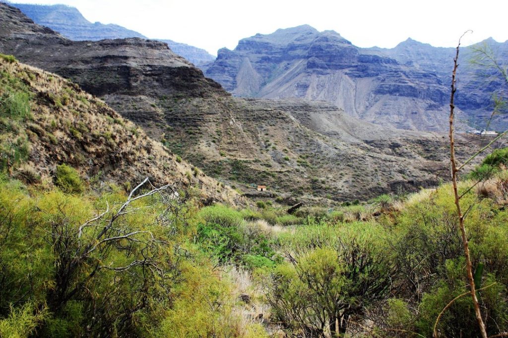 Barranco Tasarte I
