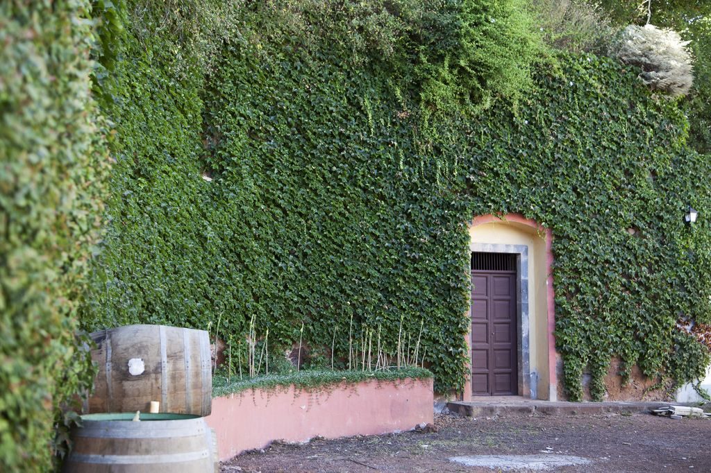 casona y jardín_osorio (4)