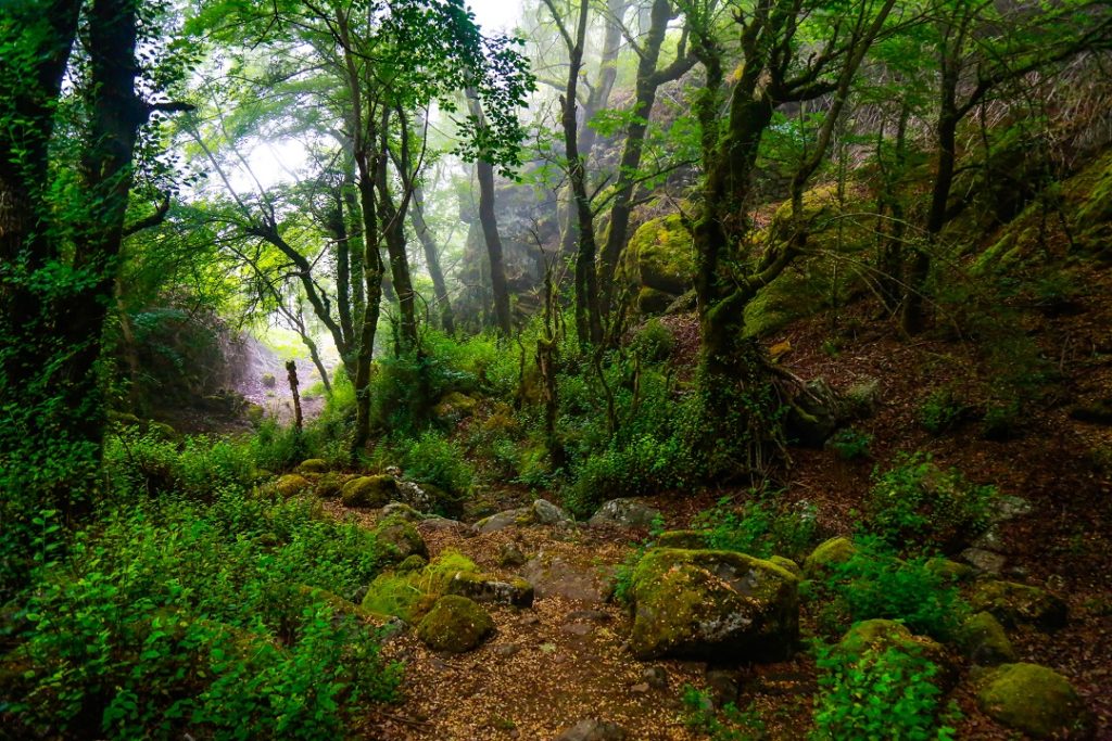 Copia de LA_HEREDAD__SCOUT-9(2)