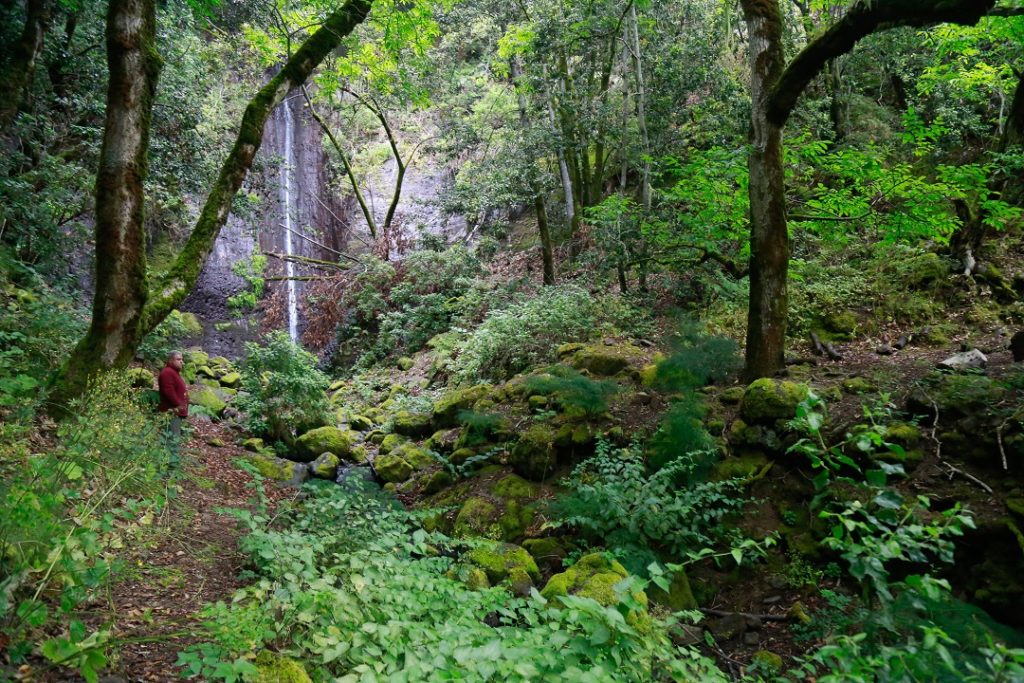 Copia de LA_HEREDAD__SCOUT (BARRANCO BRUTOS)-122