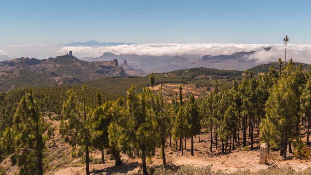 Pico de las Nieves_1(3)