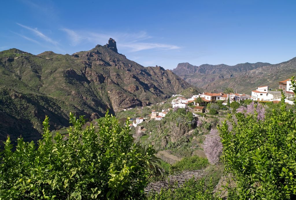 tejeda (cuenca de tejeda)