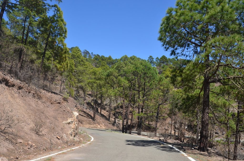 Carretera Tamadab_20209