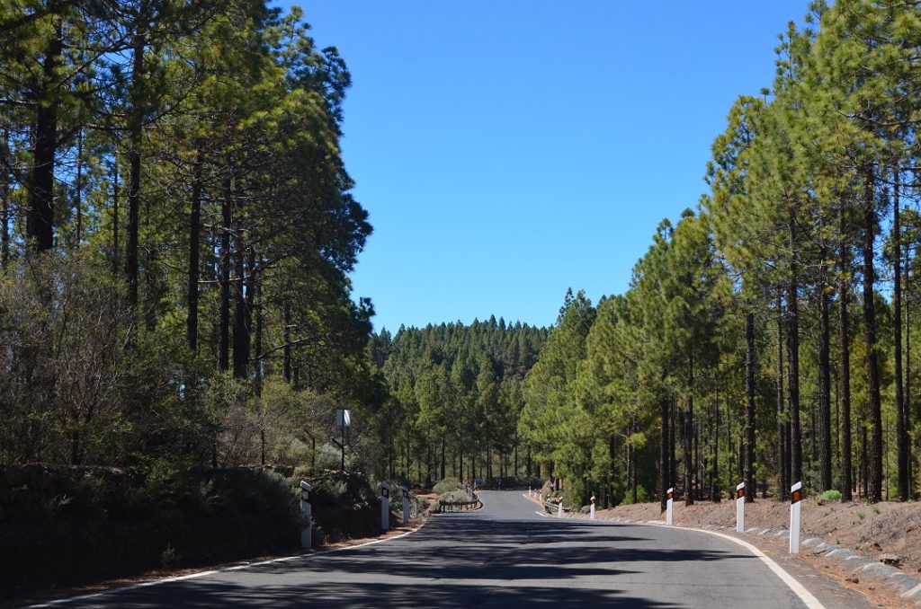 Carreteras Bailico _20207