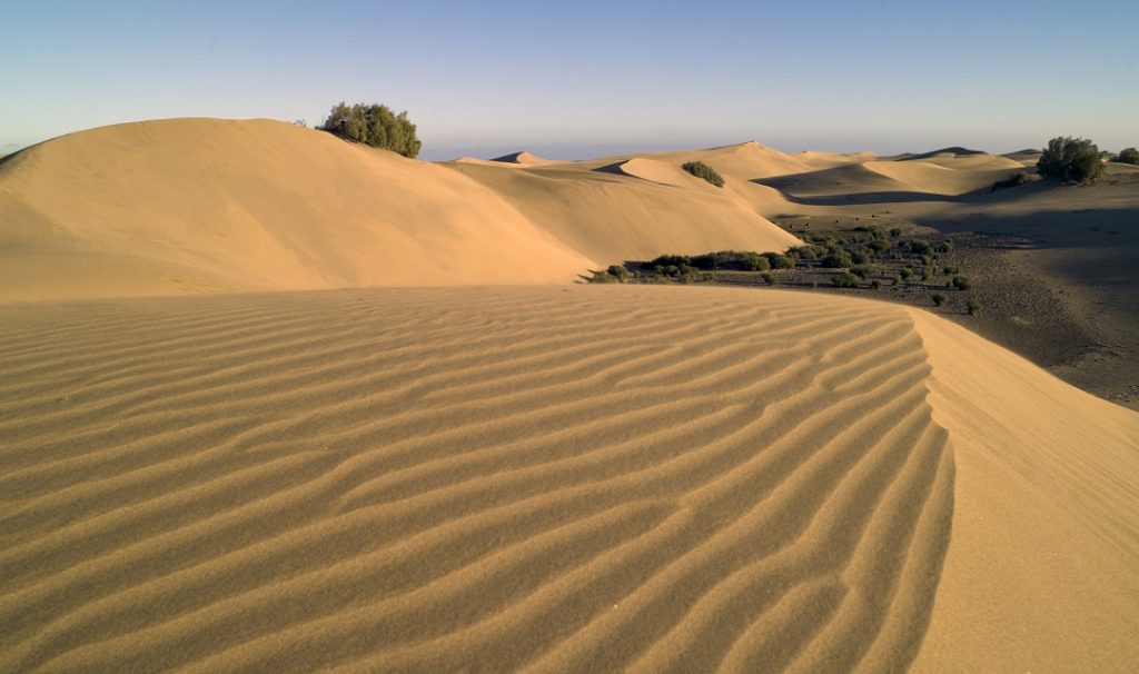 9.Dunas de Maspalomas