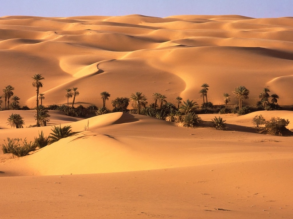 Maspalomas Dunas (1)