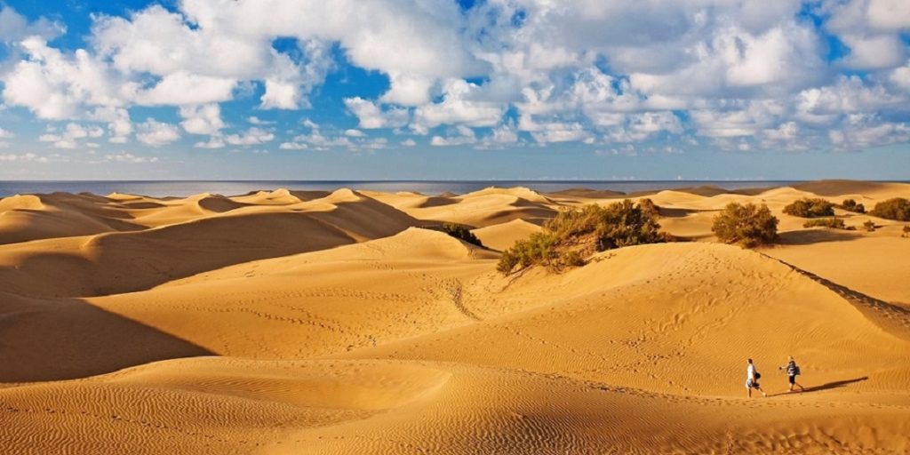 Maspalomas Dunas I