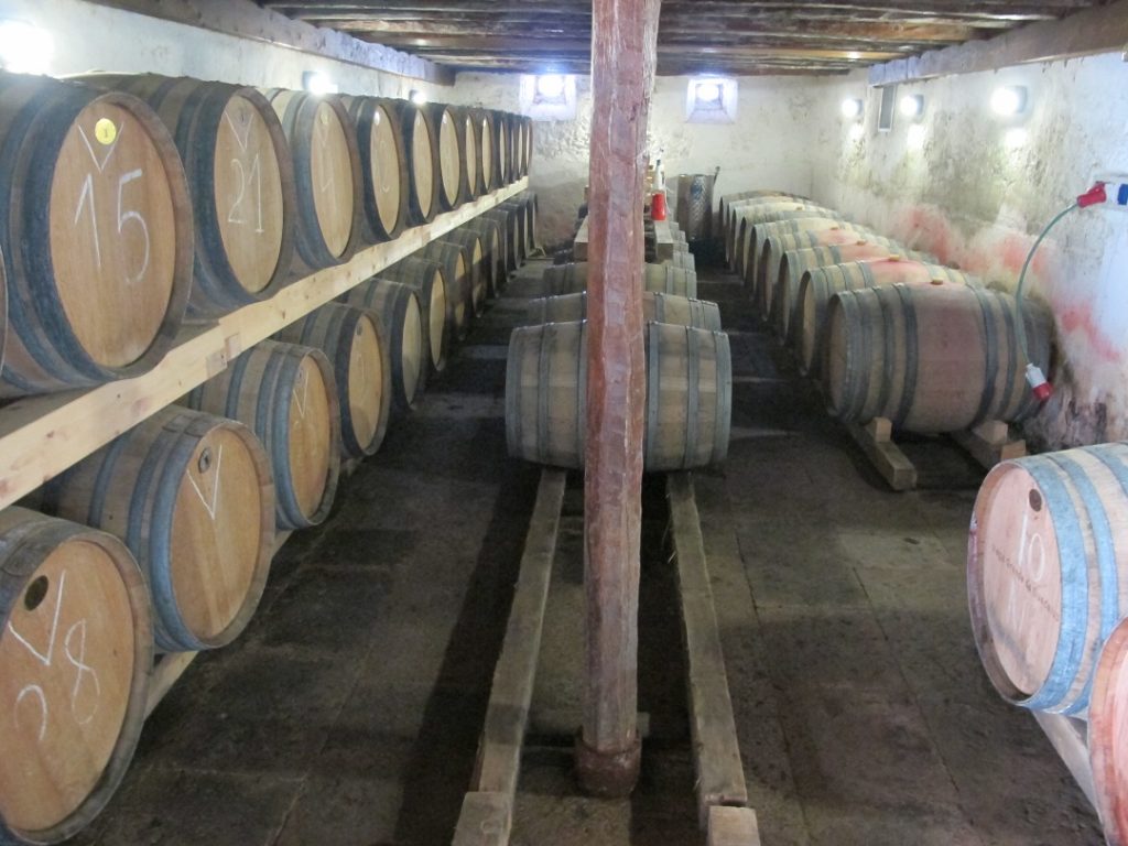 Bodega_7